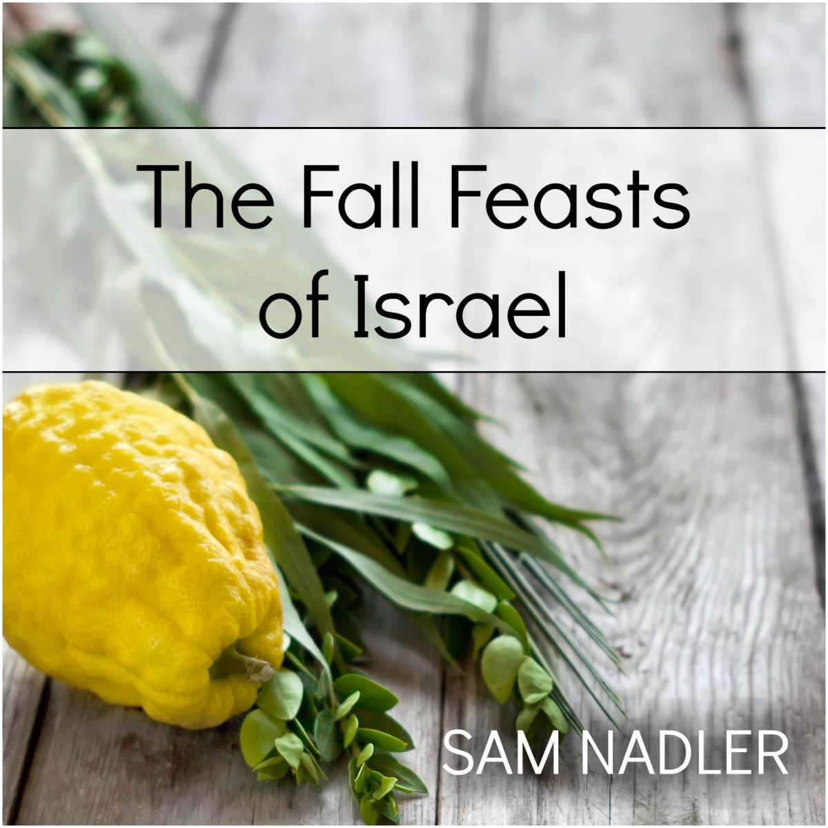 The Fall Feasts of Israel (MP3) - Word Of Messiah Ministries