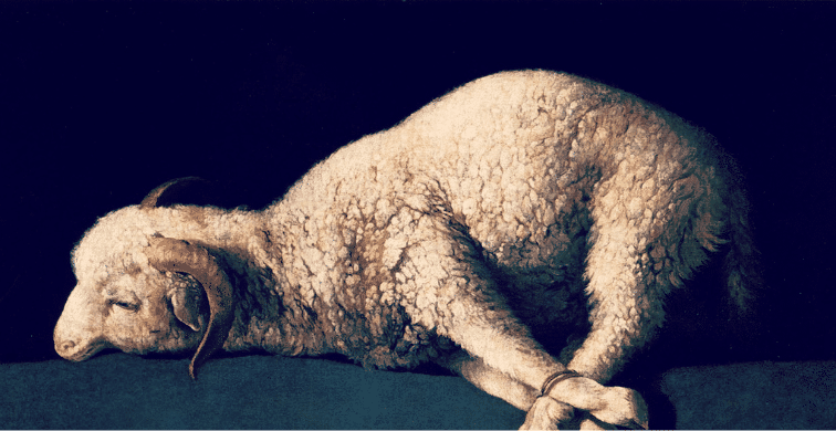 Yeshua - The Passover Lamb