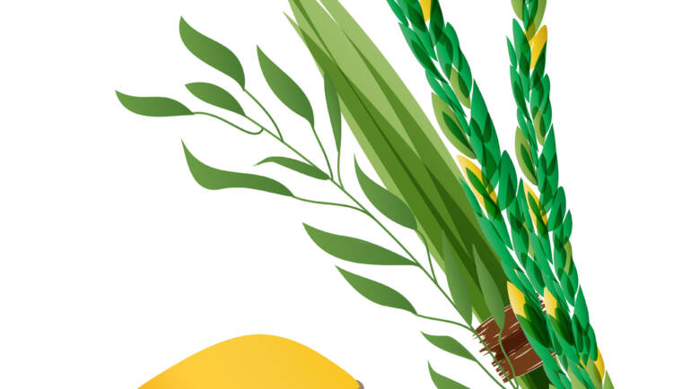 Sukkot: The Feast of Tabernacles