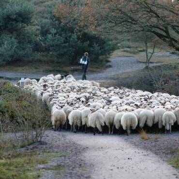 Yeshua’s Hanukkah Message