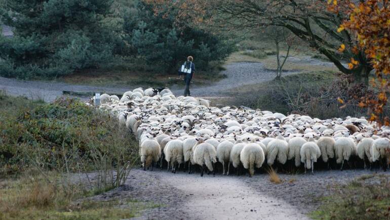 Yeshua’s Hanukkah Message