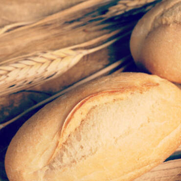 The Two Loaves Testimony
