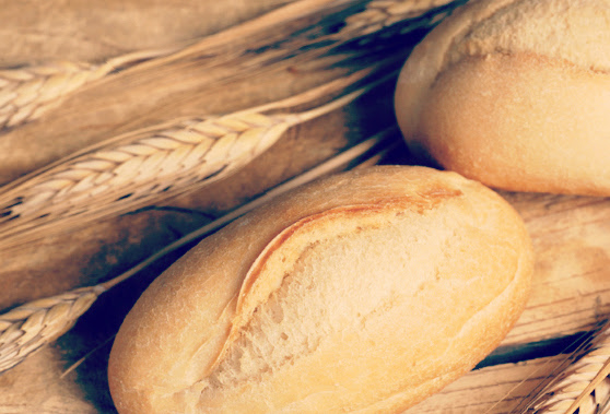 The Two Loaves Testimony